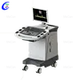 Color Doppler Ultrasound